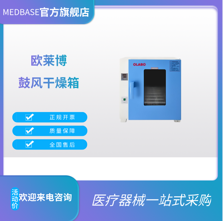 歐萊博DHG-9250A電熱鼓風(fēng)干燥箱